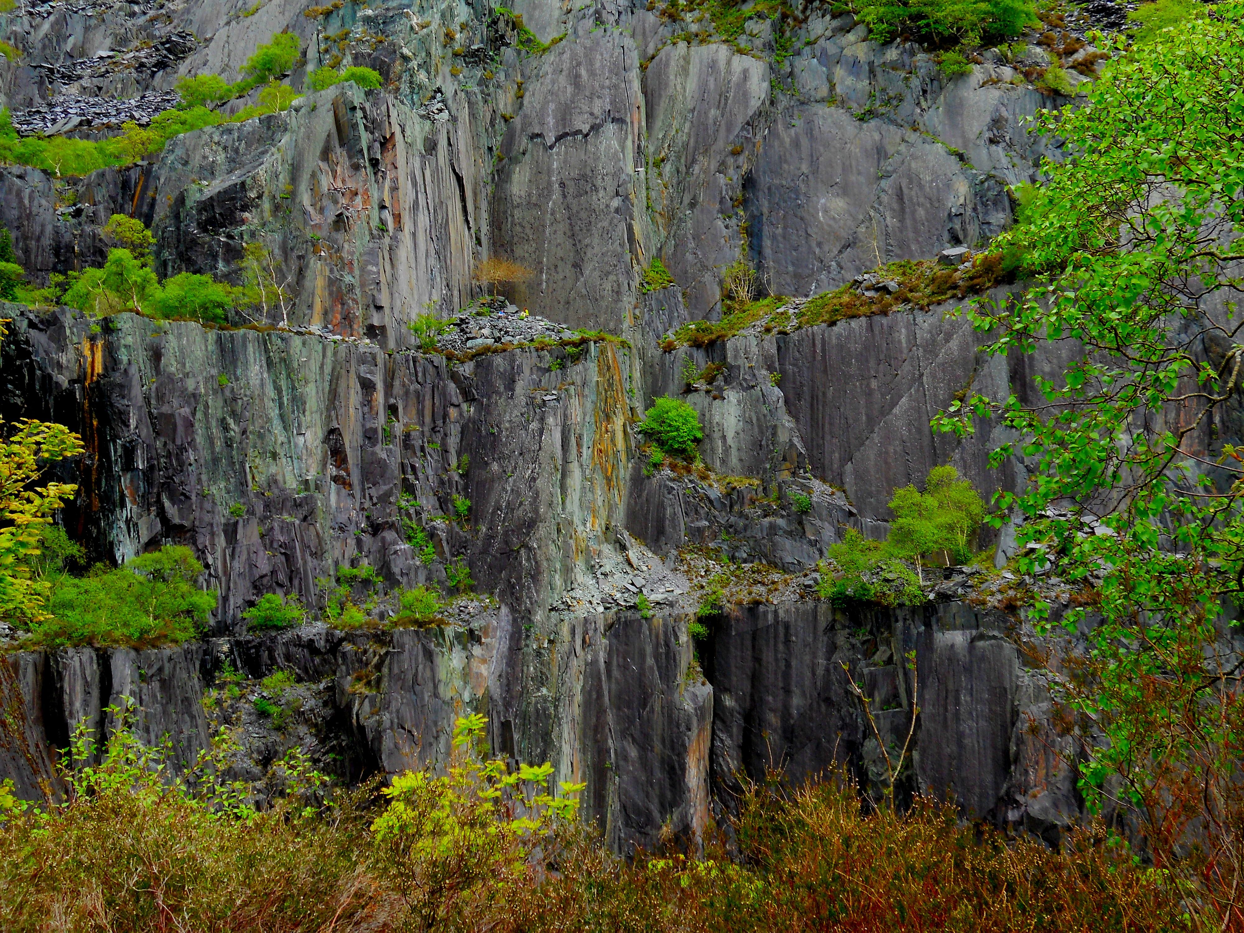 Vivian quarry