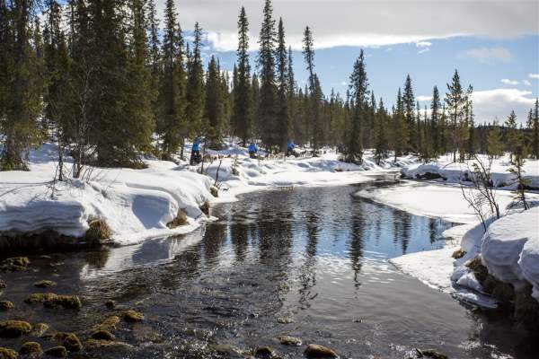 River in the snow