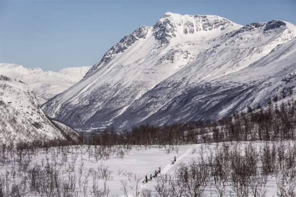 Dog sledding through Norway