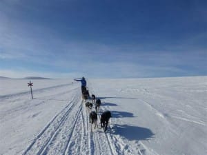 sledding 3
