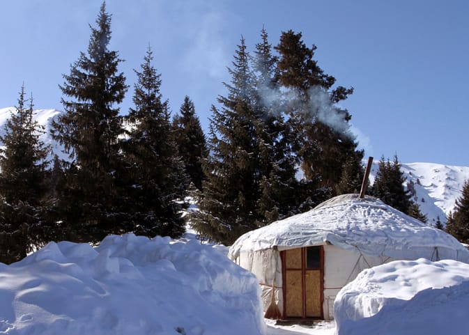 40 Tribes Yurts, Home for the week
