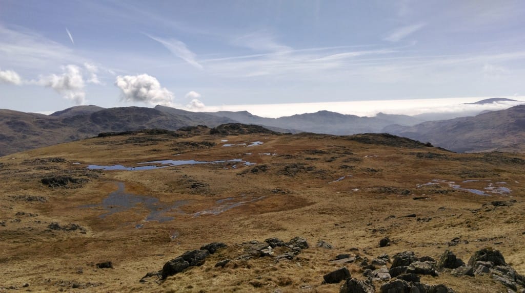blog 5
