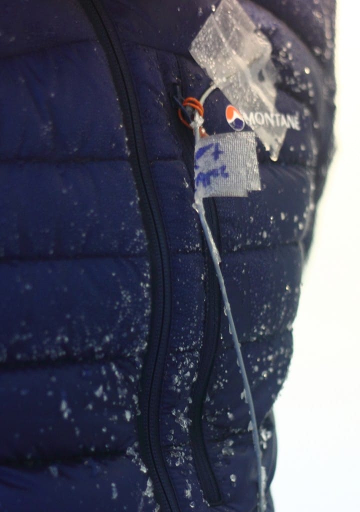 montane cold