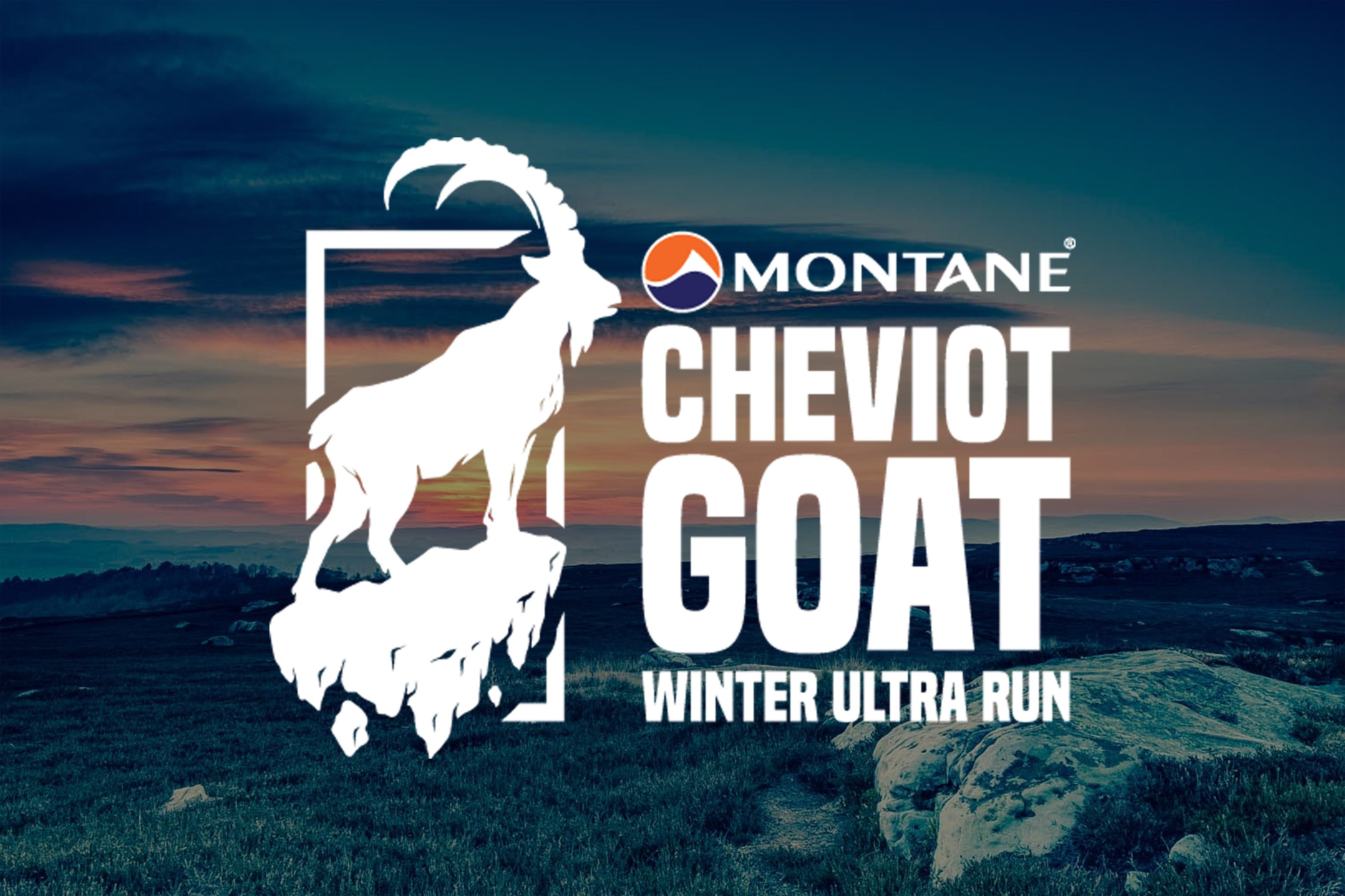 cheviot goat