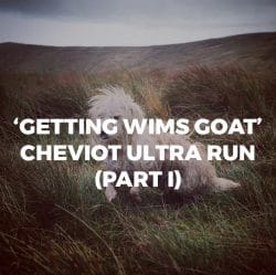 getting wims goat 1