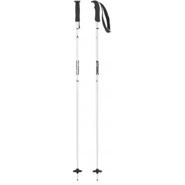 AMT Ski Pole