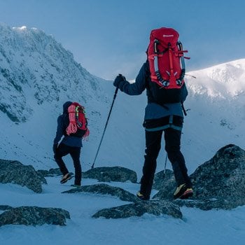 Montane