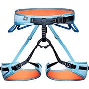 Harnesses