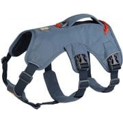 Dog Accessories