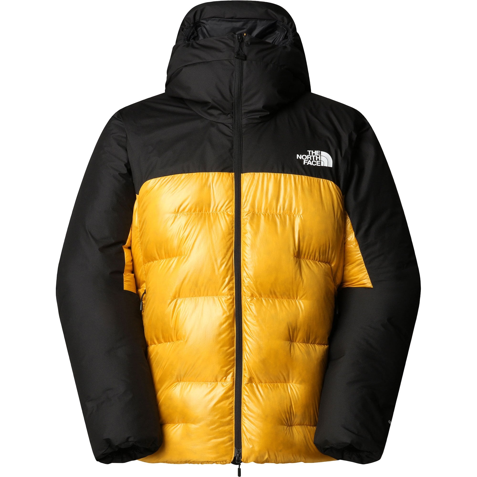 シャルレーヌ公妃 THE NORTH FACE サミットシリーズ ダウン 700フィル 